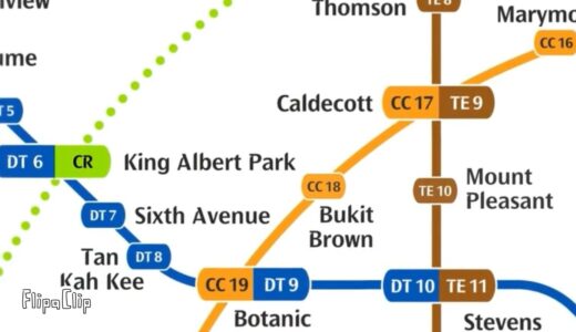 History Of the Singapore MRT (Future)